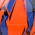 307841.jpg