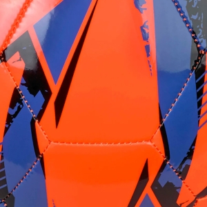 307841.jpg