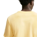 312161.jpg