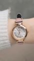 57611_3.jpg