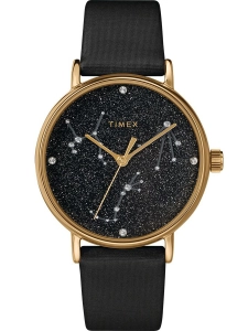 ZEGAREK DAMSKI TIMEX CELESTIAL OPULENCE TW2T87600 (zt672a)