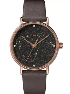 ZEGAREK DAMSKI TIMEX CELESTIAL OPULENCE TW2T87700 (zt672b)