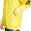 288404.jpg