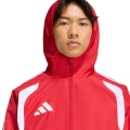 288389.jpg