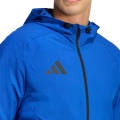 290996.jpg