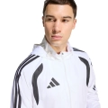292634.jpg