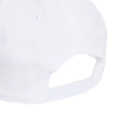 xlarge_clean.jpg