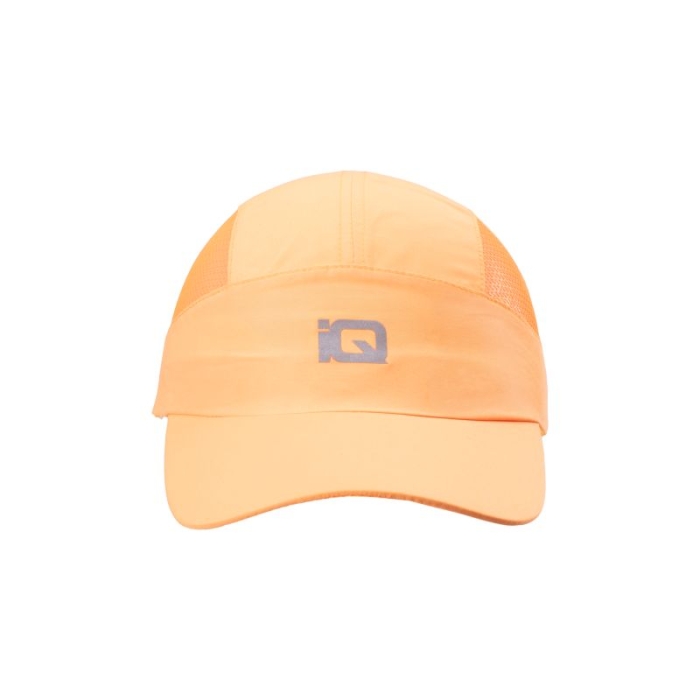 xlarge_clean.jpg