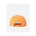 xlarge_clean.jpg