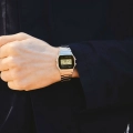 58303_2.jpg