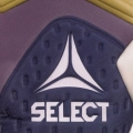 xlarge_clean.jpg