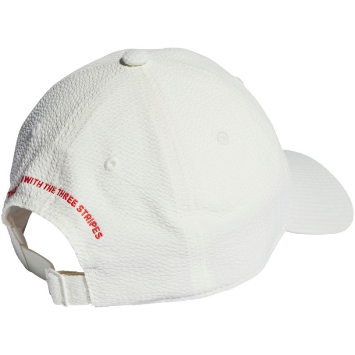xlarge_clean.jpg