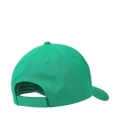 xlarge_clean.jpg