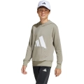 xlarge_clean.jpg