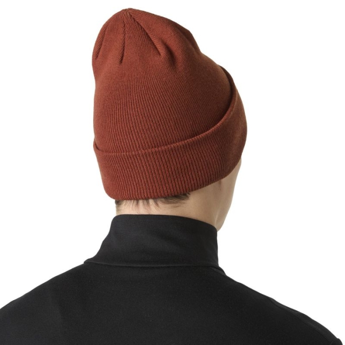 xlarge_clean.jpg
