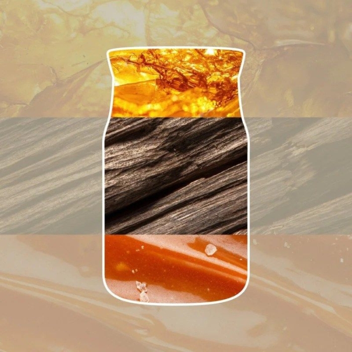xlarge_clean.jpg