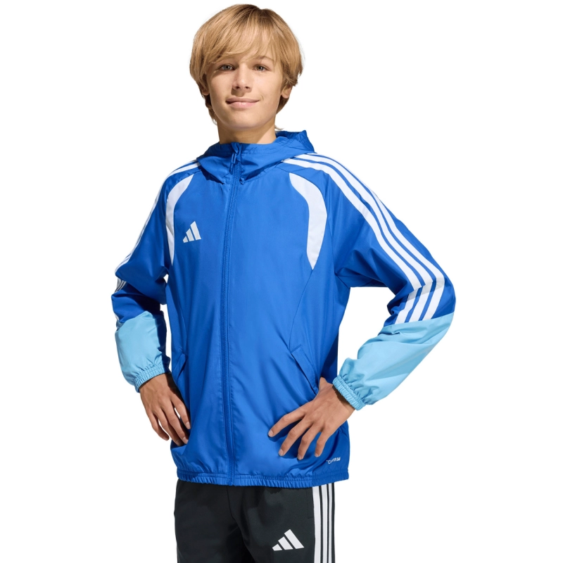 292787.jpg