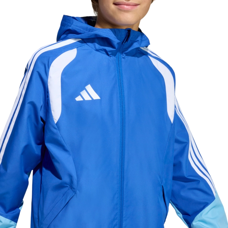 292789.jpg