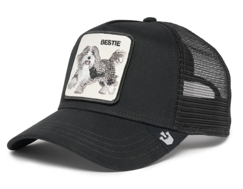 CZAPKA Z DASZKIEM GOORIN BESTIE DOG.jpg