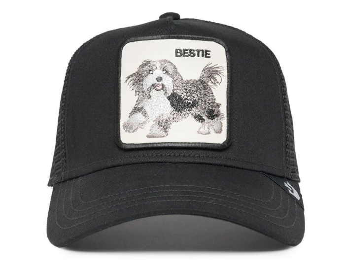 GOORIN BESTIE DOG.jpg