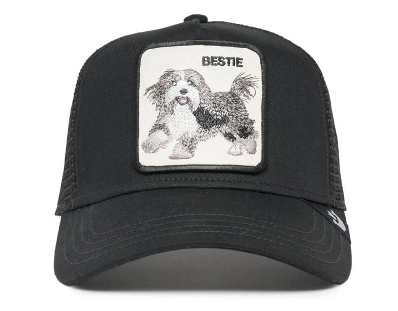GOORIN BESTIE DOG.jpg
