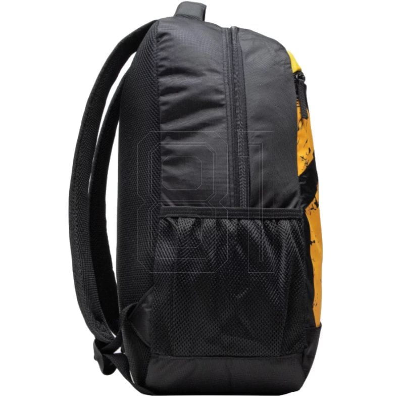 xlarge.jpg