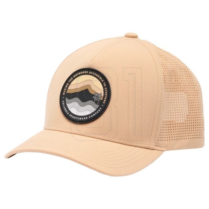 xlarge.jpg