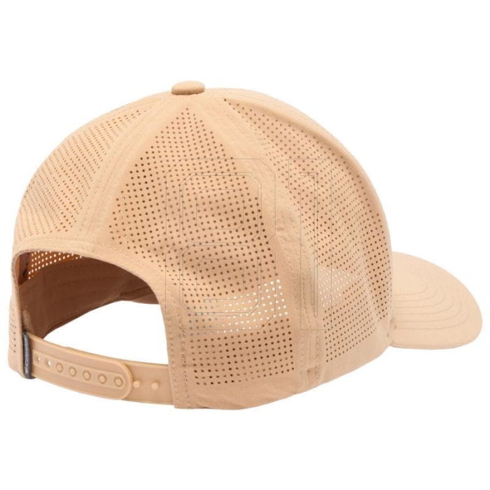 xlarge.jpg