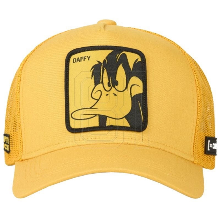 xlarge.jpg