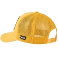 xlarge.jpg