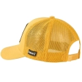 xlarge.jpg