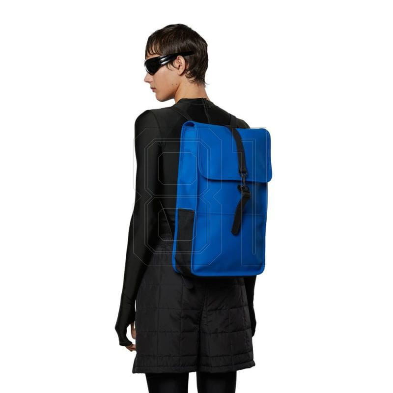 xlarge.jpg