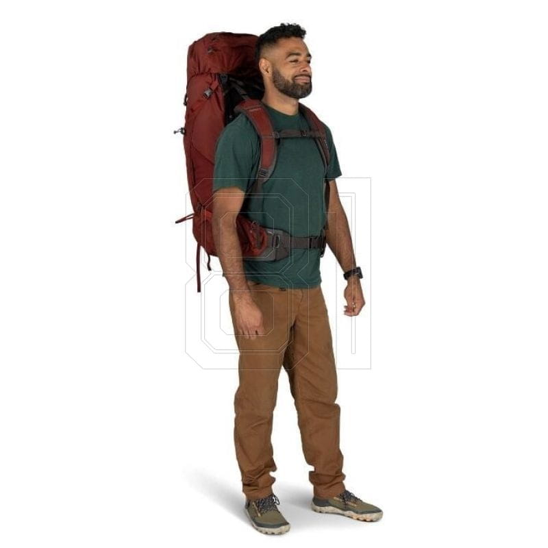 xlarge.jpg