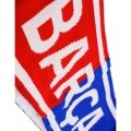 xlarge.jpg