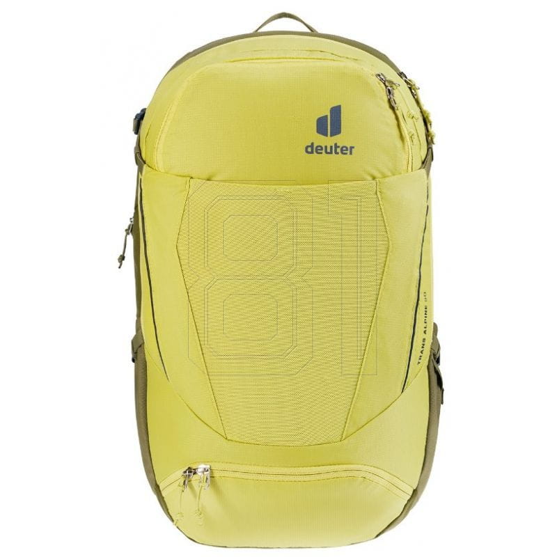 xlarge.jpg