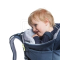 xlarge.jpg