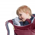 xlarge.jpg
