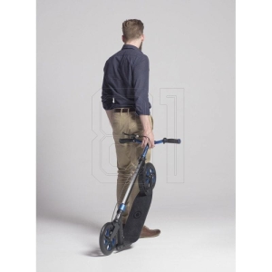 xlarge.jpg