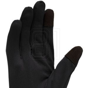 xlarge.jpg