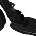 xlarge.jpg