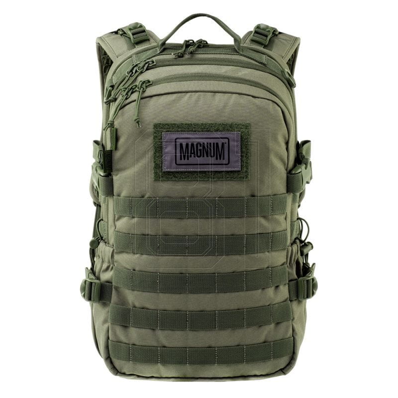 xlarge.jpg