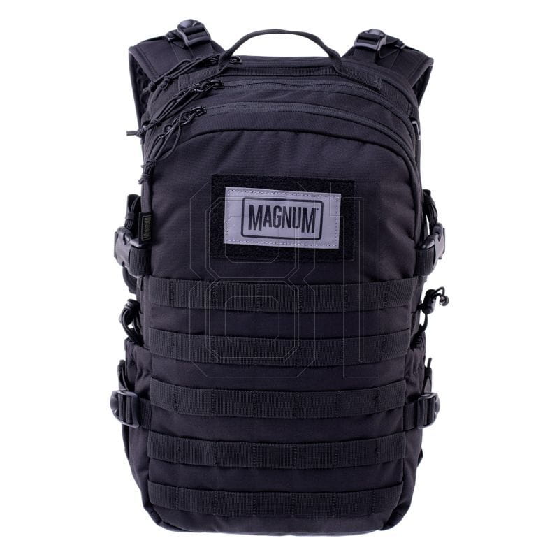 xlarge.jpg