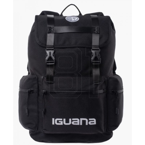 xlarge.jpg