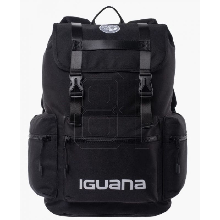 xlarge.jpg