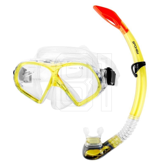xlarge.jpg