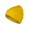 xlarge.jpg
