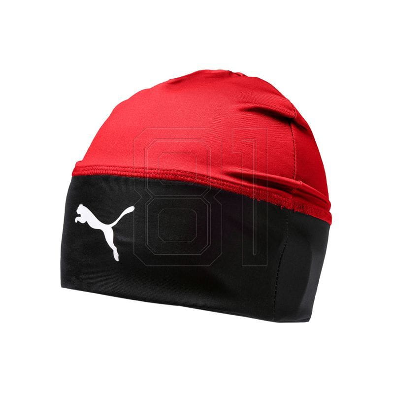 xlarge.jpg