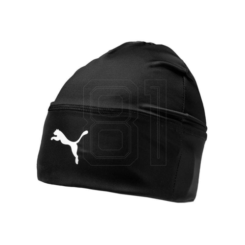 xlarge.jpg