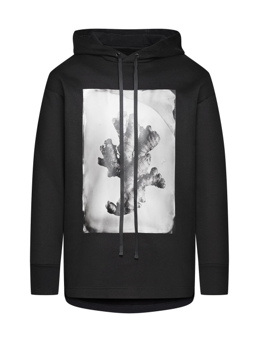 Betterave Bluza Imbir.jpg
