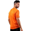 258861.jpg